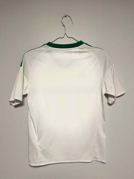 Northern Ireland Away 16/17 kids