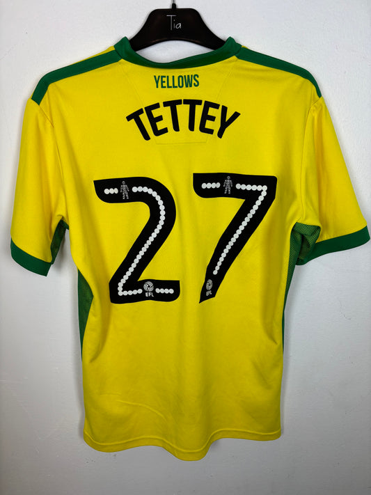 Back view of Errea Norwich City 16/17 home shirt showing Tettey name and number 27