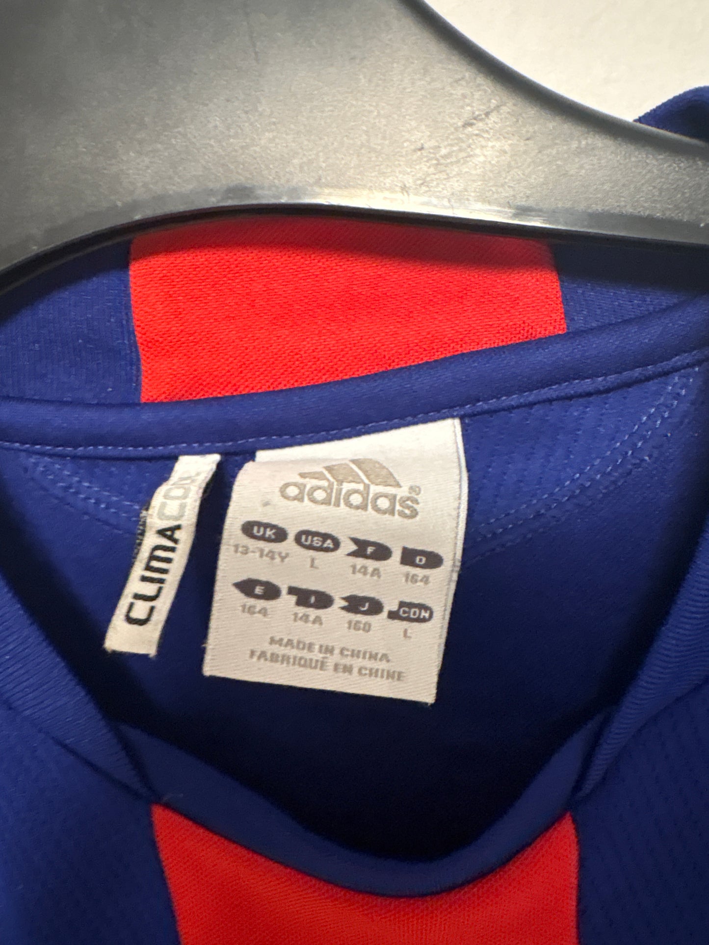 Authentic Adidas Japan 2010 World Cup shirt close up badge and nameset detail