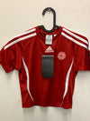 Denmark Home 2006