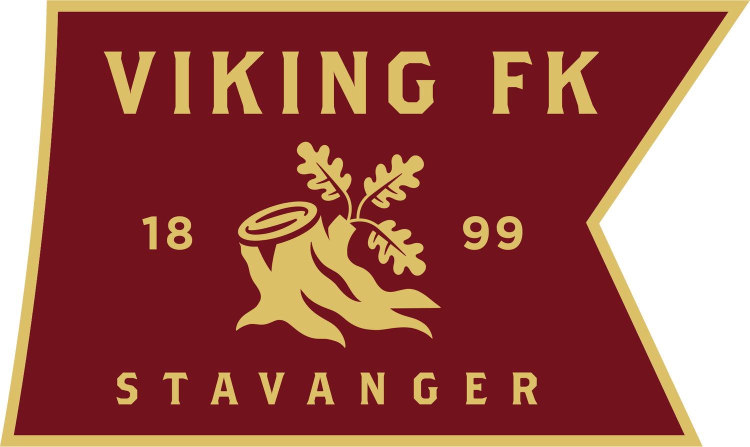 Viking FK  drakt og supporterutstyr