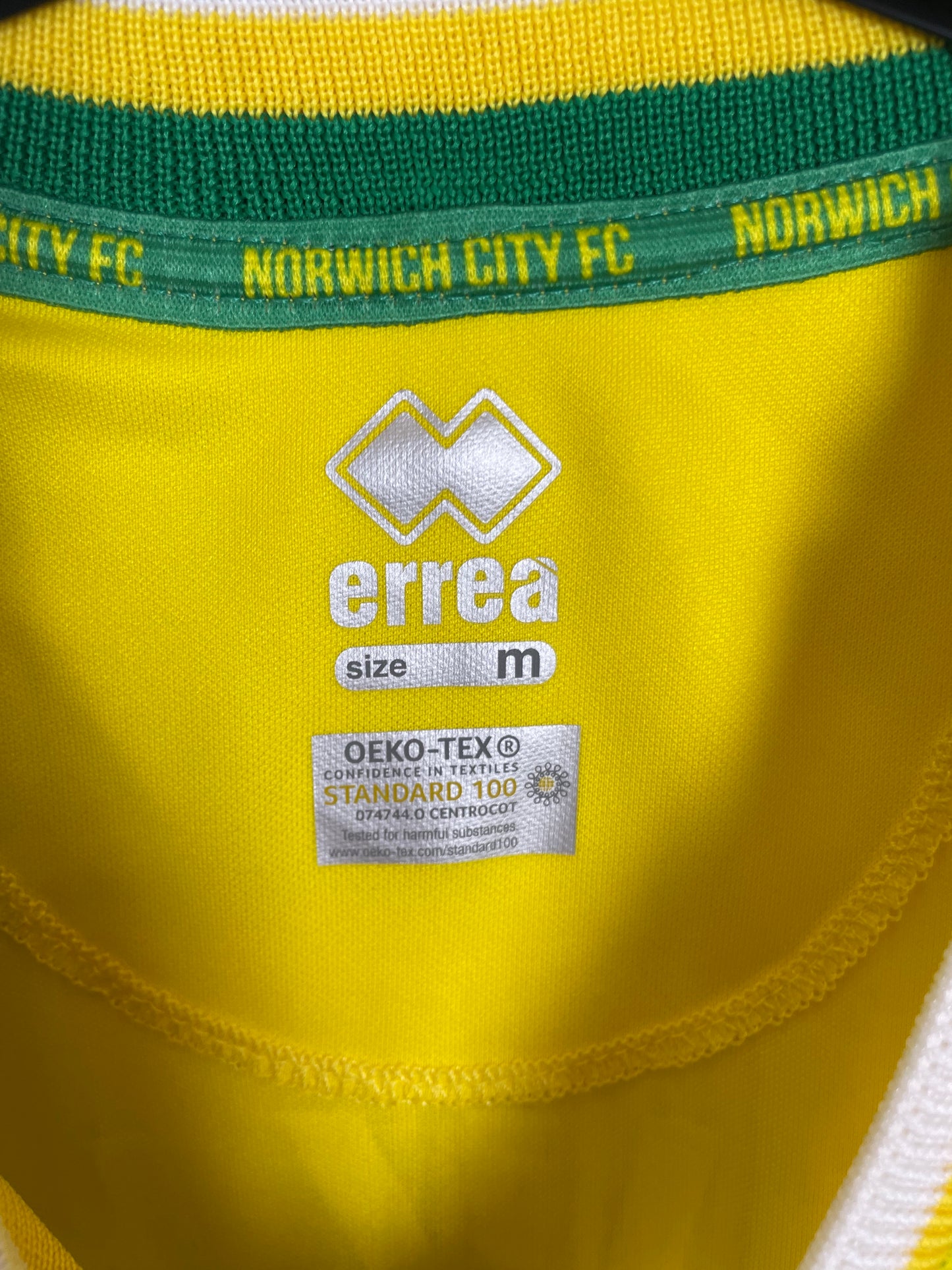 Errea Norwich Home 20/21 Pukki 22 - 10/10