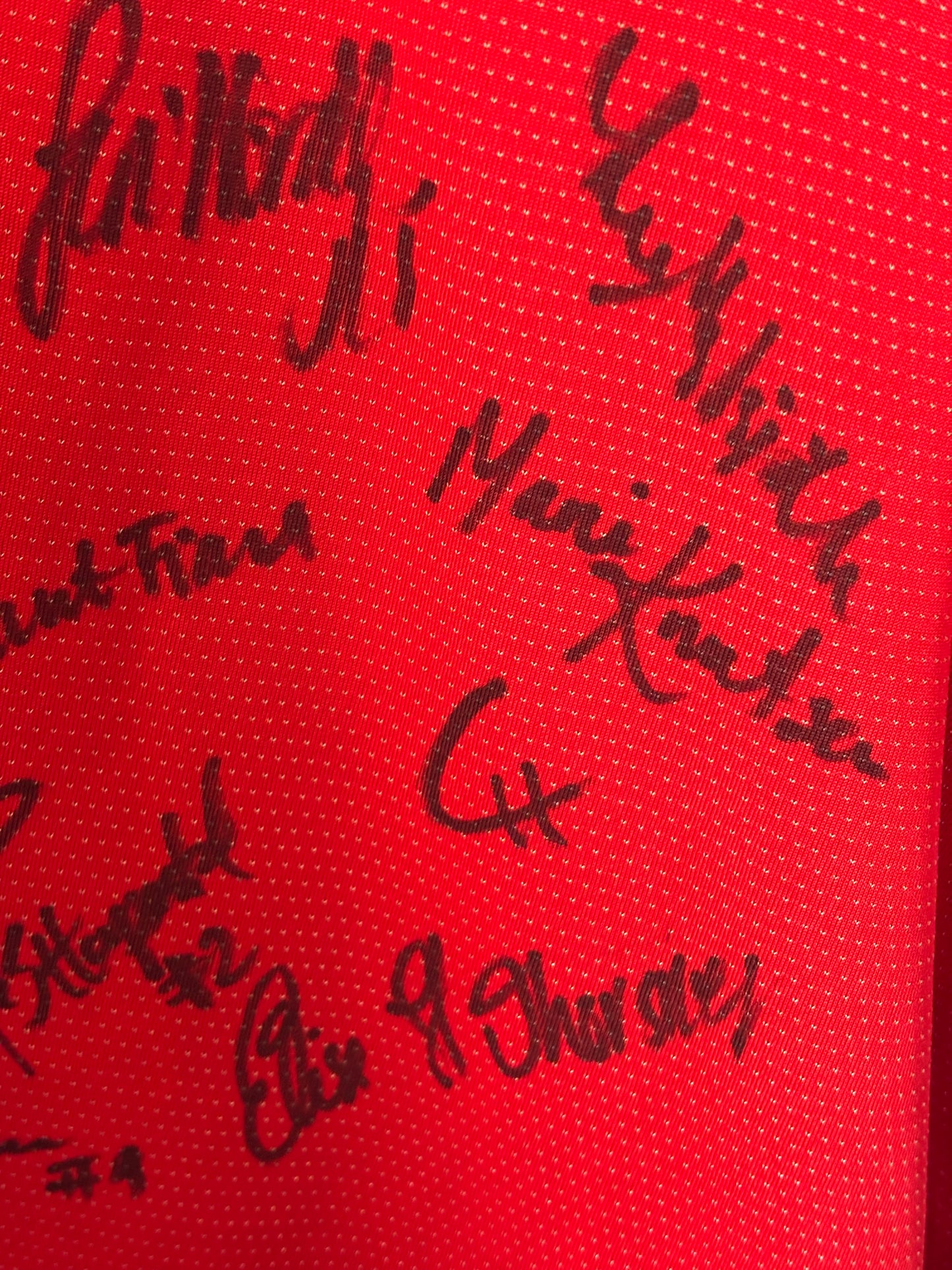 Umbro Norway Home 2004 Squad signed by Norway women’s team - 8/10