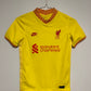 Liverpool FC Third 21/22
