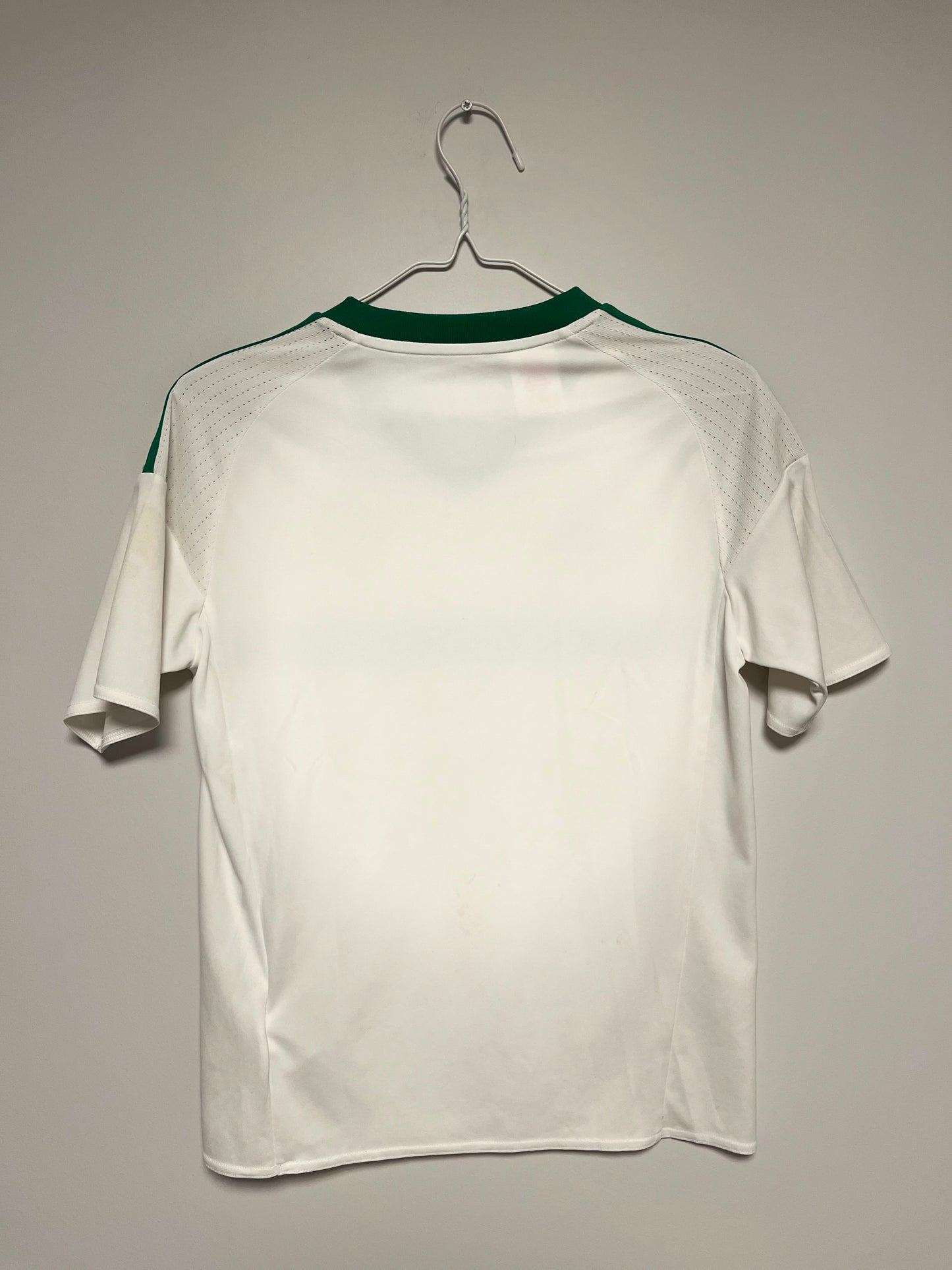 Northern Ireland Away 16/17 kids