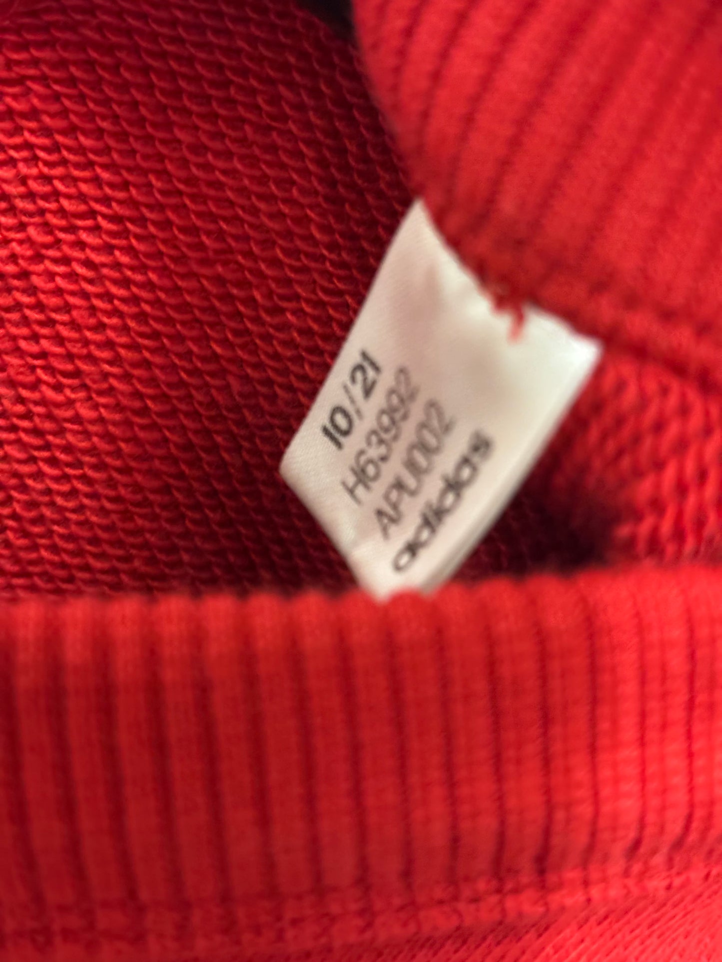 Manchester United CNY Sweatshirt 2021