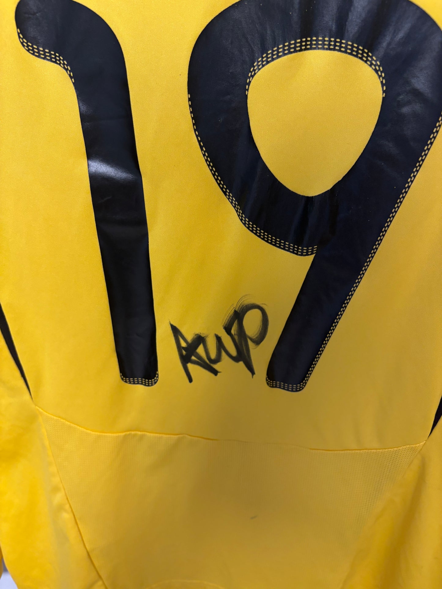 Adidas Bærum Home 2012 Matchissued/Prepared Amahl Pellegrino 19 - Signed