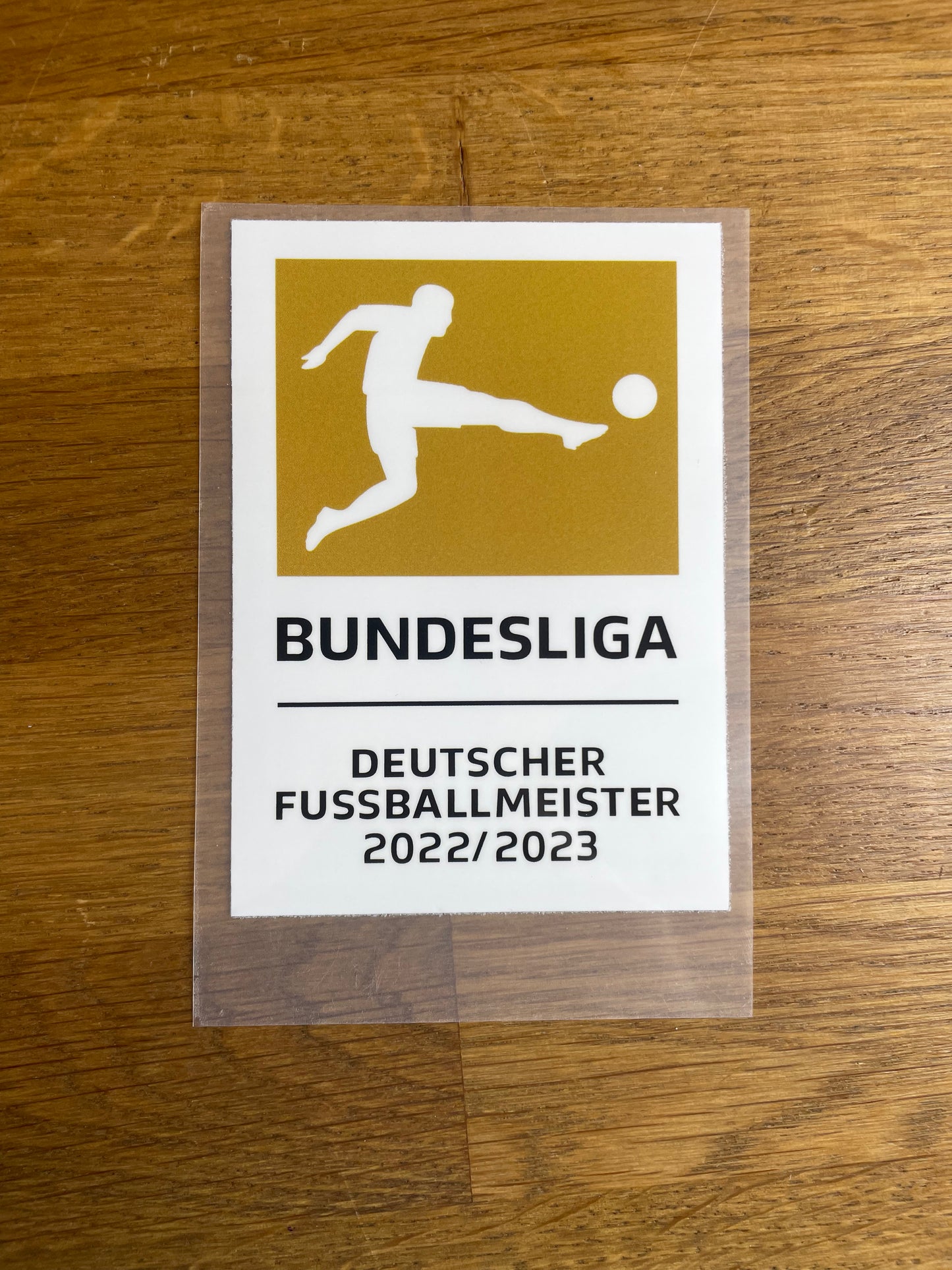 Bundesliga Champs Bayern München 22/23