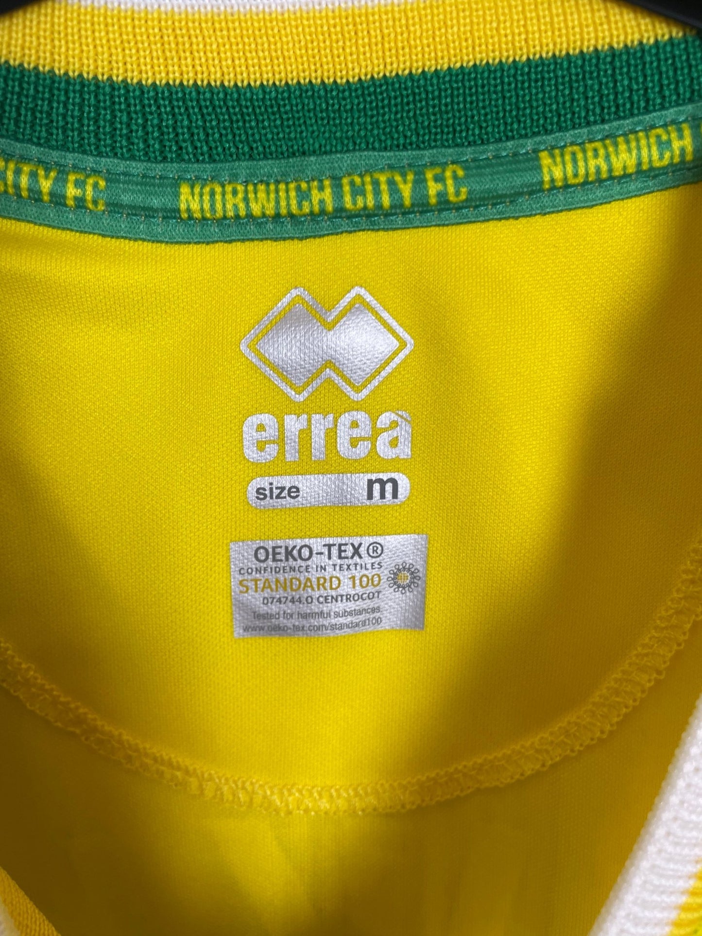 Back of the Errea Norwich City 2020/21 yellow home shirt with the Teemu Pukki number 22, shown in full rear detail